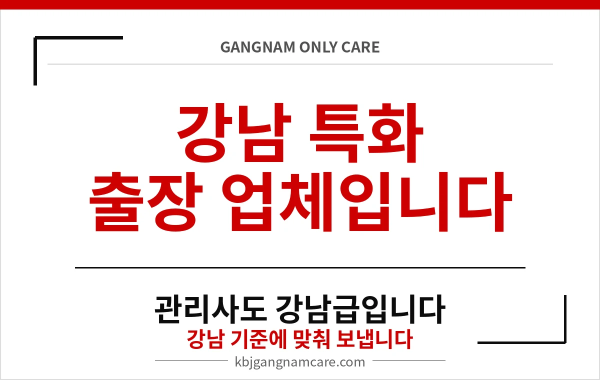 개포동 출장 마사지 개포동 출장 안마 강남 전문 업체 이미지